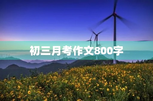 初三月考作文800字