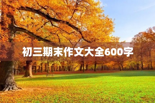 初三期末作文大全600字 初三期末作文大全600字