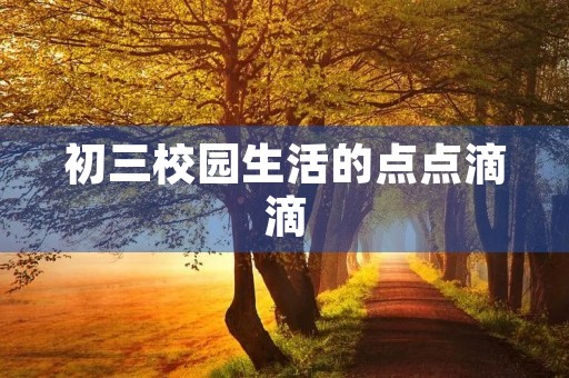 初三校园生活的点点滴滴