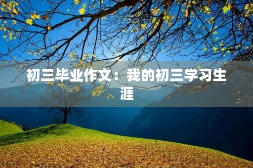 初三毕业作文：我的初三学习生涯