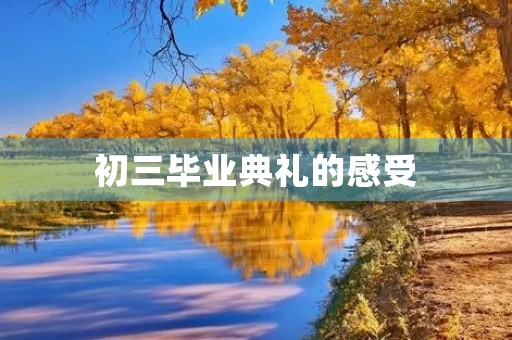 初三毕业典礼的感受 初三毕业典礼的感受