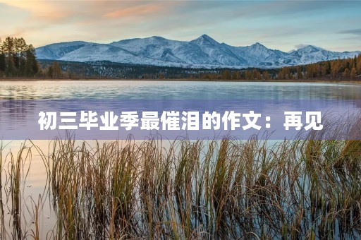 初三毕业季最催泪的作文：再见，初中生活
