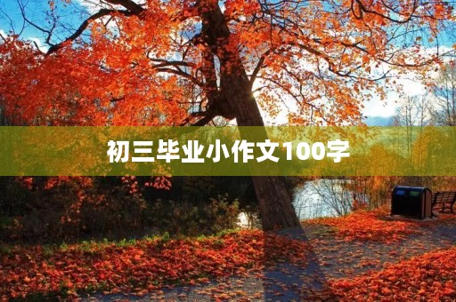 初三毕业小作文100字 初三毕业小作文100字