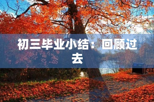 初三毕业小结：回顾过去，展望未来