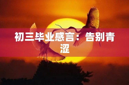 初三毕业感言：告别青涩，迎接未来