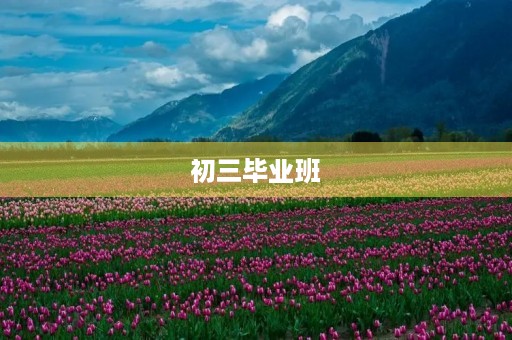 初三毕业班，如何写好作文？