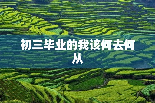 初三毕业的我该何去何从 初三毕业的我该何去何从