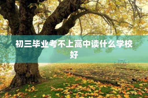 初三毕业考不上高中读什么学校好 初三毕业考不上高中读什么学校好