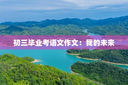 初三毕业考语文作文：我的未来