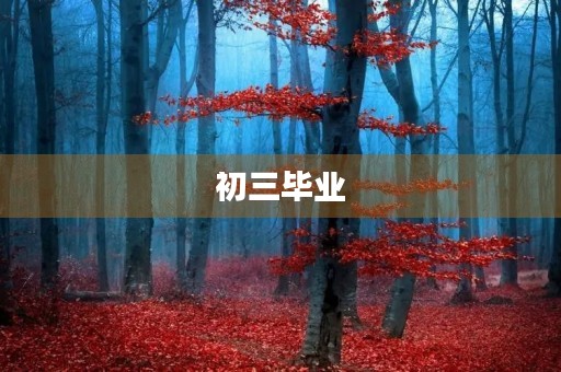 初三毕业,告别同学 初三毕业,告别同学