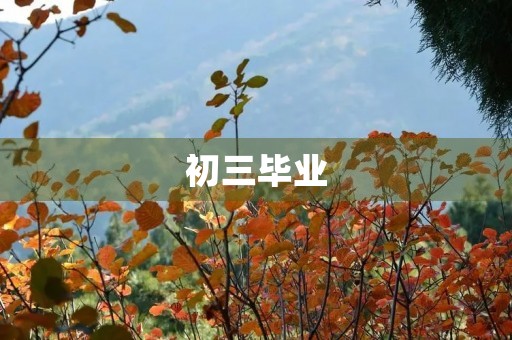 初三毕业，感恩与展望