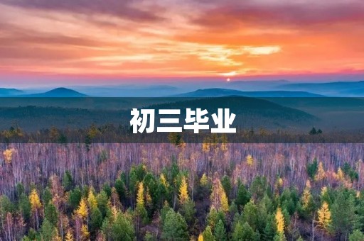 初三毕业,感悟与收获 初三毕业,感悟与收获