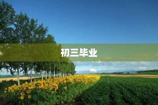 初三毕业，我对未来的期待