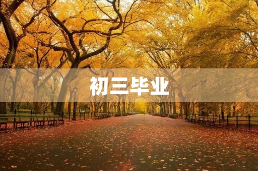 初三毕业,我心中的感悟 初三毕业,我心中的感悟