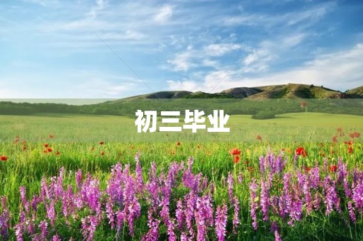 初三毕业,我该如何写作文? 初三毕业,我该如何写作文?