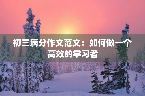 初三满分作文范文：如何做一个高效的学习者