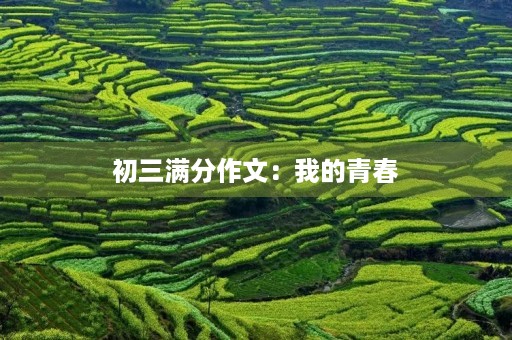 初三满分作文：我的青春，我的梦想
