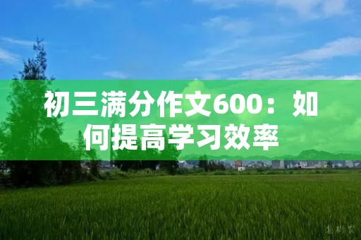 初三满分作文600:如何提高学习效率 初三满分作文600:如何提高学习效率
