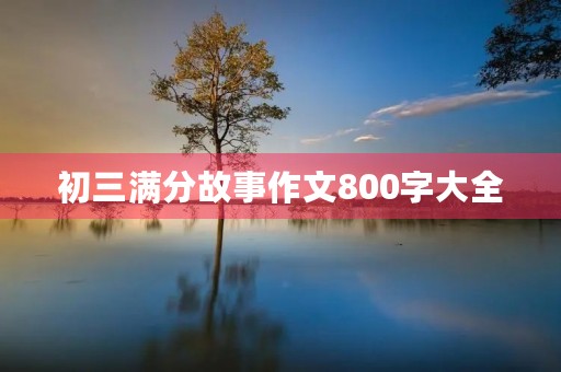 初三满分故事作文800字大全