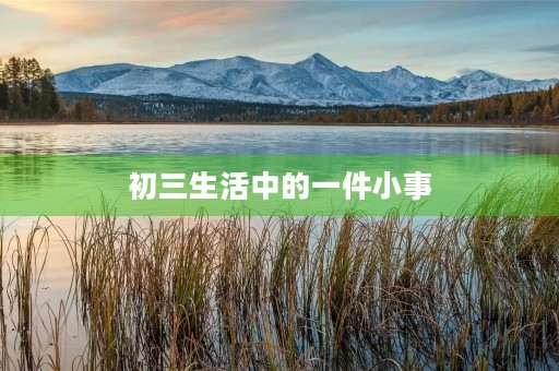 初三生活中的一件小事