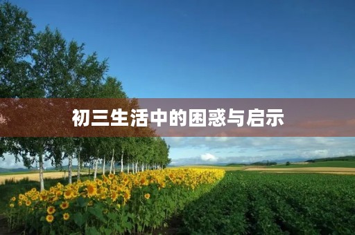 初三生活中的困惑与启示 初三生活中的困惑与启示