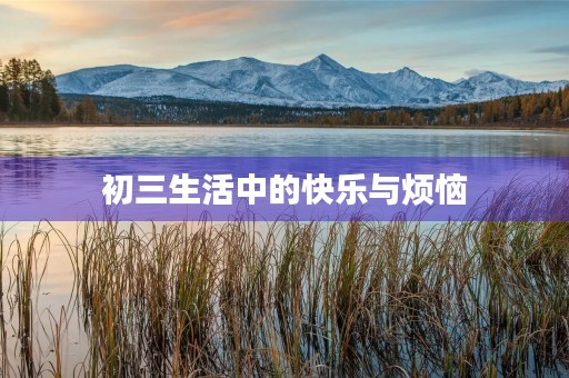 初三生活中的快乐与烦恼