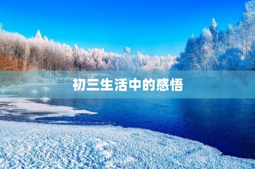 初三生活中的感悟