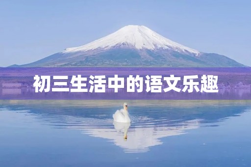 初三生活中的语文乐趣