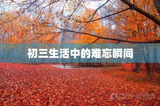 初三生活中的难忘瞬间