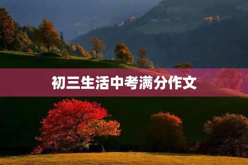 初三生活中考满分作文 初三生活中考满分作文
