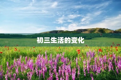 初三生活的变化