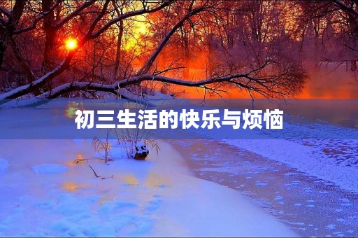 初三生活的快乐与烦恼