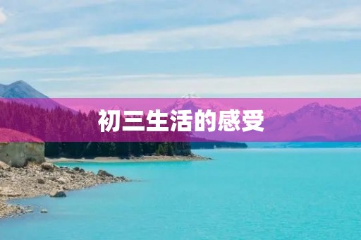 初三生活的感受