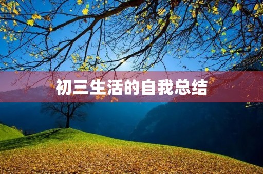 初三生活的自我总结