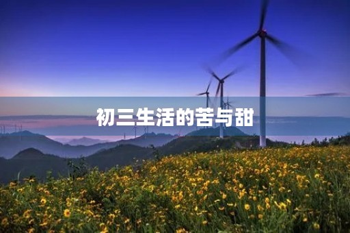 初三生活的苦与甜 初三生活的苦与甜