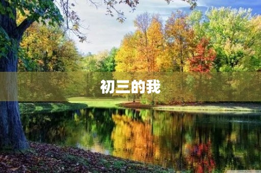初三的我,与作文的那份情缘 初三的我,与作文的那份情缘