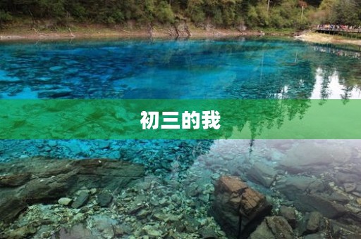 初三的我