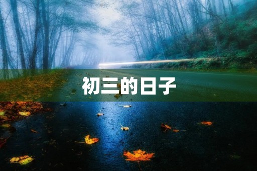 初三的日子 初三的日子