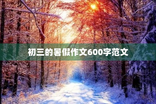 初三的暑假作文600字范文