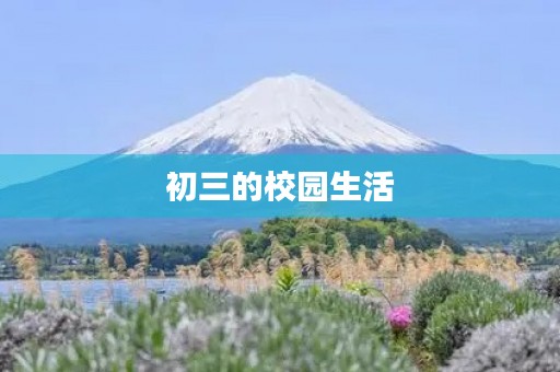 初三的校园生活 初三的校园生活