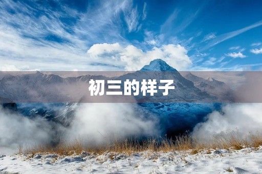 初三的样子 初三的样子
