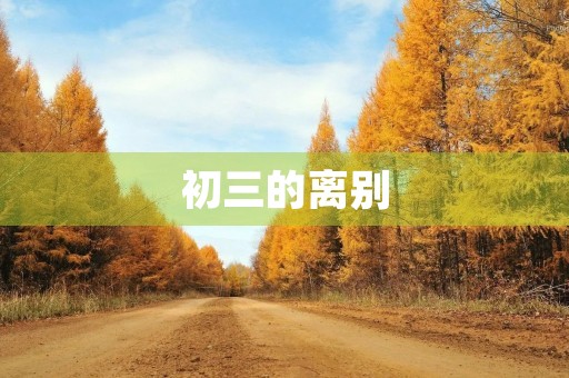 初三的离别，我的成长