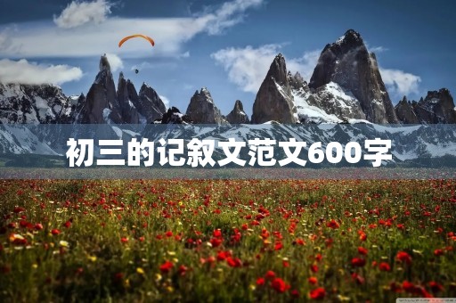 初三的记叙文范文600字