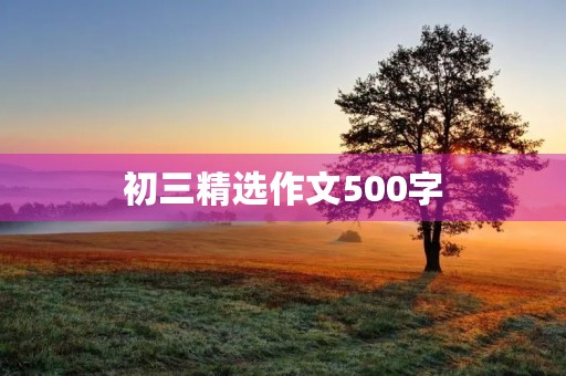 初三精选作文500字 初三精选作文500字