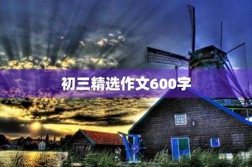 初三精选作文600字