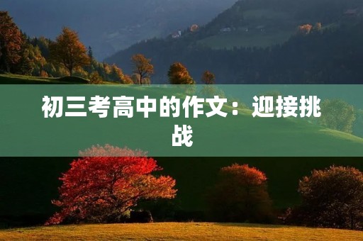 初三考高中的作文：迎接挑战