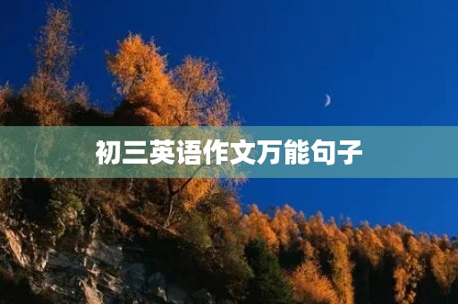 初三英语作文万能句子
