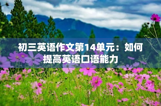 初三英语作文第14单元：如何提高英语口语能力