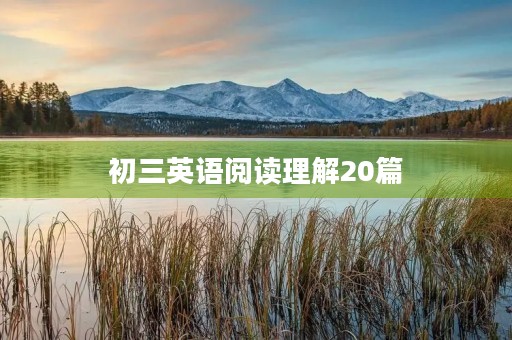 初三英语阅读理解20篇 初三英语阅读理解20篇