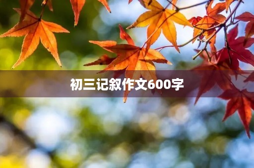 初三记叙作文600字